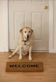 dog next to welcome mat